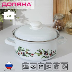 Кастрюля Доляна Olives, 2 л, индукция, цвет белый 7610899