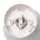 Светильник "Гранат" НБП 01-60-004, E27, 60 Вт, IP20, c наклонным основанием, шар, белый - фото 2912704