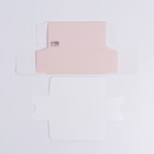 Коробка для макарун «Персиковая», 5.5 × 12 × 5.5 см (5 шт) - фото 800784023