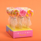 Карамель леденцовая Диск, со вкусами манго, малина, дыня, 15г (30 шт) - фото 801804668