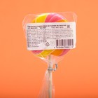 Карамель леденцовая Диск, со вкусами манго, малина, дыня, 15г (30 шт) - фото 801804671