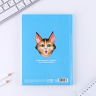 Ежедневник «Котики», А5, 80 листов - фото 800685508