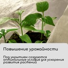 Материал укрывной, 10 × 2,1 м, плотность 20, белый, с УФ - стабилизатором, Greengo, Эконом 20% 7560925