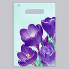 Пакет "Крокусы", полиэтиленовый, с вырубной ручкой, 20 х 30 см, 30 мкм 7669449