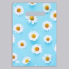 Пакет "Ромашковый дождик", полиэтиленовый, с вырубной ручкой, 20 х 30 см, 30 мкм 7669451