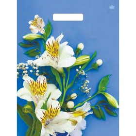 Пакет "Лилия белоснежная", полиэтиленовый, с вырубной ручкой, 31 х 40 см, 60 мкм