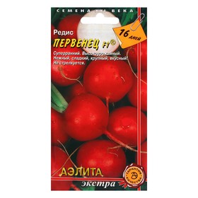 Семена Редис "Первенец", F1, 1 г 7652461