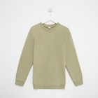 Джемпер (свитшот) мужской MINAKU: Casual collection MAN цвет хаки, р-р 54 - фото 801507902