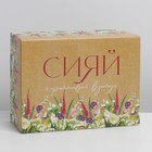Коробка‒пенал «Сияй», 26 × 19 × 10 см 7107448