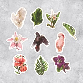 Набор бумажных наклеек «Ботаника», 10 шт