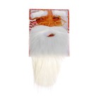 Карнавальная борода «Дед Мороз» с бровями