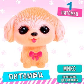 Питомец «Любимый», МИКС в Донецке