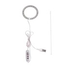 Фитосветильник светодиодный, 2 Вт, 5 В, в горшок, USB, полноспектральный, 1 круг 7372928