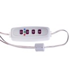 Фитосветильник светодиодный, 2 Вт, 5 В, в горшок, USB, полноспектральный, 1 круг 7372928