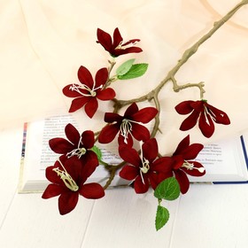 Цветы искусственные "Зефирантес" 56х8 см, бордовый