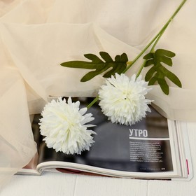 Цветы искусственные "Хризантема махровая" 68х9 см, белый