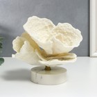 Сувенир интерьерный полистоун "Коралл в форме цветка" 17х15х18,5 см - фото 7073434