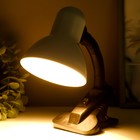 Лампа настольная Школьник на прищепке, шнур 0.9м 1х60Вт Е27 белый - фото 2913912 Лампа настольная Школьник на прищепке, шнур 0.9м 1х60Вт Е27 белый - фото 2913912