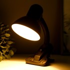 Лампа настольная Школьник на прищепке, шнур 0.9м 1х60Вт Е27 черный - фото 3280470 Лампа настольная Школьник на прищепке, шнур 0.9м 1х60Вт Е27 черный - фото 3280470