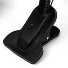 Лампа настольная Школьник на прищепке, шнур 0.9м 1х60Вт Е27 черный - фото 3280472 Лампа настольная Школьник на прищепке, шнур 0.9м 1х60Вт Е27 черный - фото 3280472