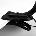 Лампа настольная Школьник на прищепке, шнур 0.9м 1х60Вт Е27 черный - фото 3280473 Лампа настольная Школьник на прищепке, шнур 0.9м 1х60Вт Е27 черный - фото 3280473