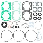 Комплект прокладок с сальниками, Ski-doo, OEM 420930695, 420831950, 420931234, 420931236 4435020 - фото 108524