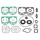 Комплект прокладок с сальниками, Ski-doo, OEM 420931280, 420931792, 420931895, 420931894 4435039 - фото 108526