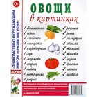 Овощи в картинках. Наглядное пособие для педагогов, логопедов, воспитателей и родителей 7702967 - фото 8097871