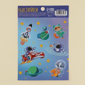 Наклейки бумажные с раскраской на обороте "Косможизнь", 11 х 16 см в Донецке