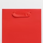 Пакет под бутылку «Красный», 13 x 36 x 10 см 7184513