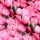 Бумага упаковочная глянцевая "Тюльпаны", 70 х 100 см 7483792