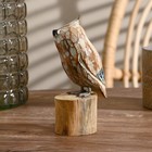 Cувенир дерево "Сова на пеньке" 15 см - фото 800769142 Cувенир дерево "Сова на пеньке" 15 см - фото 800769142