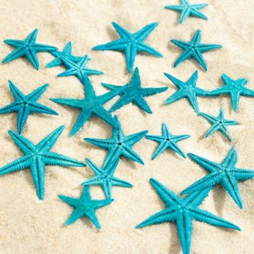 Набор натуральных морских звезд,  1,5 - 2,5 см, 20 шт, синий