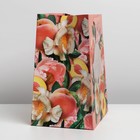 Пакет ламинированный с пластиковым окном «Персики», 30,5 × 25 × 17,5 см 7183828