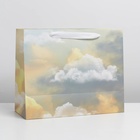 Пакет ламинированный с пластиковым окном «Нимфа», 32,5 × 26,5 × 13,5 см 7183832