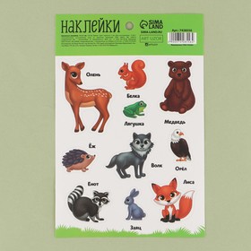 Наклейки бумажные «Учим животных», 14 × 21 см