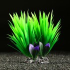 Растение искусственное аквариумное, 18 х 10 х 11,5 см, зелёный - фото 4601059