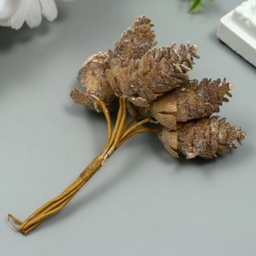 Искусственное растение для творчества "Шишки" 1 букет= 6 шишечек коричневый 10 см - фото 10568386