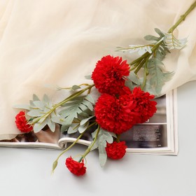 Цветы искусственные "Астра китайская Балун" 77 см, красный