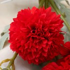Цветы искусственные "Астра китайская Балун" 77 см, красный - фото 800778495