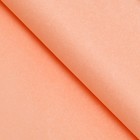 Бумага тишью, палитра №2, "МИКС", 50 х 66 см 7331037