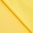 Бумага тишью, палитра №2, "МИКС", 50 х 66 см 7331037