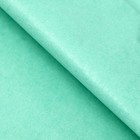 Бумага тишью, палитра №4, "МИКС", 50 х 66 см 7331039