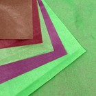 Бумага тишью, палитра №6, "МИКС", 50 х 66 см 7331041