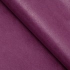 Бумага тишью, палитра №6, "МИКС", 50 х 66 см 7331041