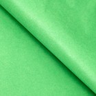 Бумага тишью, палитра №6, "МИКС", 50 х 66 см 7331041