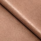 Бумага тишью, палитра №6, "МИКС", 50 х 66 см 7331041