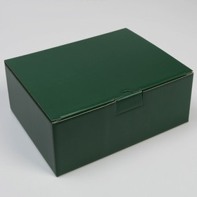 Коробка складная «Зеленая», 26 х 19 х 10 см