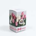 Чай зеленый JARRAJR «Тюльпаны», подарочный, 100 г - фото 4620061