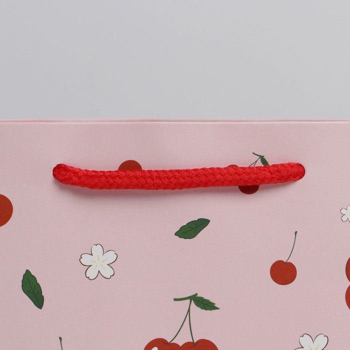 Вишня в пакете для заморозки. Черешня в пакете упаковка. Вишня быстрозамороженная. Вишневый пакет. Вишня в пакете.